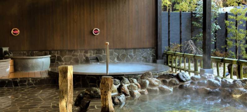 森之风酒店 箱根仙石原(Hotel Mori No Kaze Hakone Sengokuhara)图片