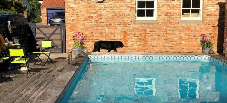 纽沙姆田庄农场住宿加早餐酒店(Newsham Grange Farm)图片