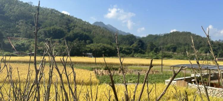 阅旅·星禾山秋民宿图片