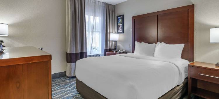 阿什维尔东-蓝岭山行车通道舒适酒店(Comfort Inn Asheville East-Blue Ridge Pkwy Access)图片