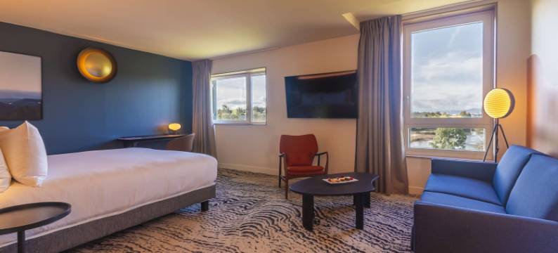 里昂欧洲博览馆希尔顿逸林酒店及度假村(Doubletree by Hilton Lyon Eurexpo & Spa)图片