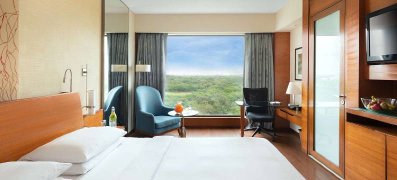 浦那Hyatt酒店(Hyatt Pune)图片