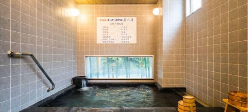 冈崎超级酒店(Super Hotel Okazaki)图片
