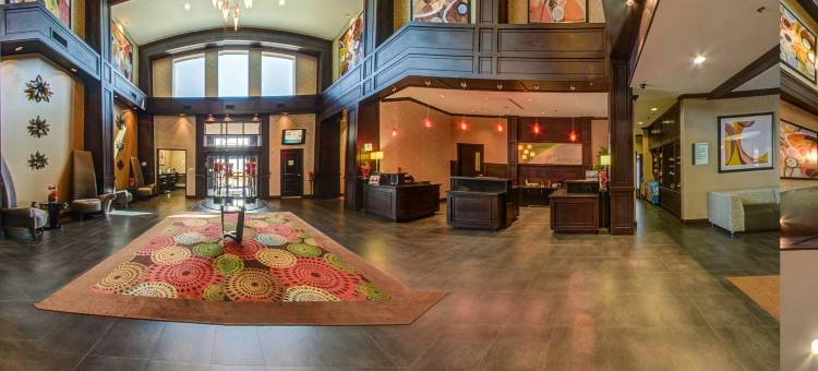 Holiday Inn 阿林顿东北流浪者棒球场(Holiday Inn ARLINGTON NE-RANGERS BALLPARK by IHG)图片