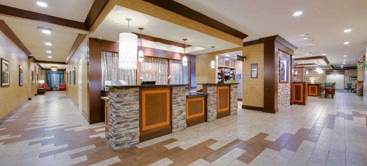 沃斯堡医学中心希尔顿花园酒店(Hilton Garden Inn Fort Worth Medical Center)图片