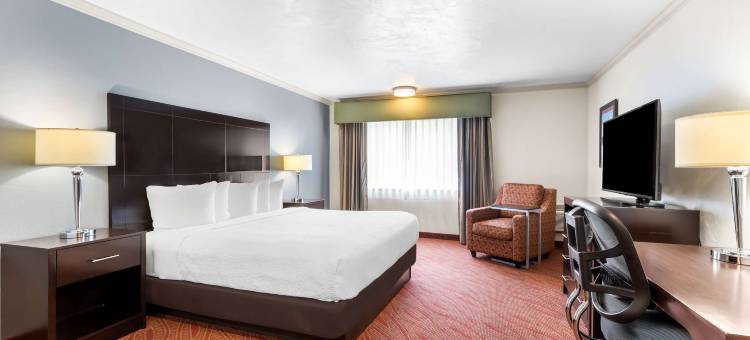 Best Western Plus Parkway Inn图片