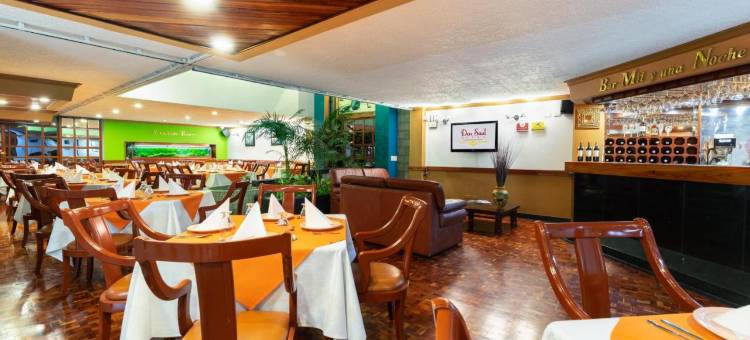 顿索尔酒店(Hotel Don Saul)图片