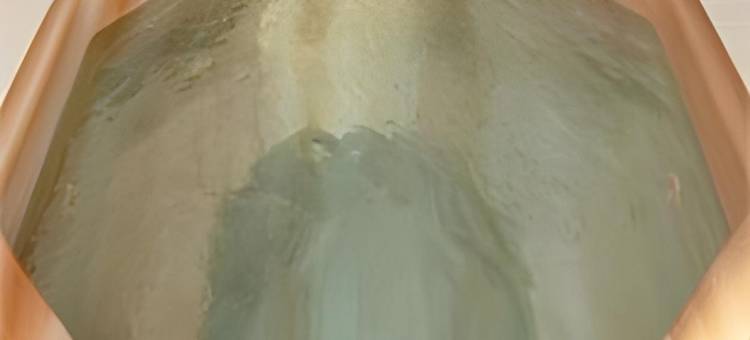 雅吉瓦红狮套房酒店(Red Lion Inn & Suites Yakima)图片