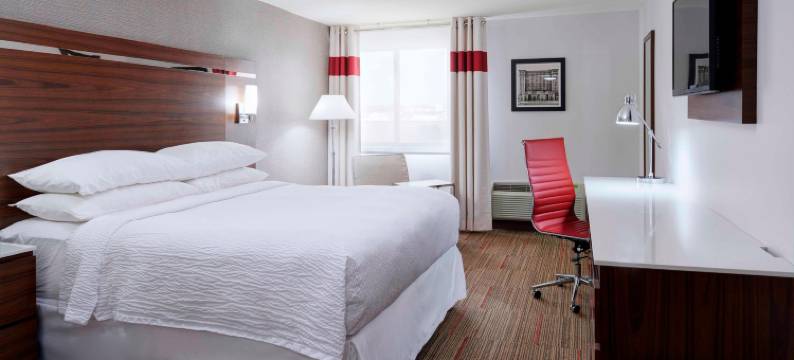 底特律诺维福朋喜来登酒店(Four Points by Sheraton Detroit Novi)图片