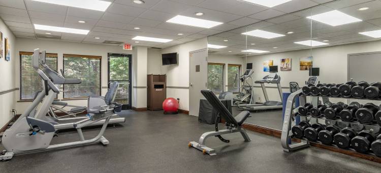 达洛尼加大学区舒适套房酒店(Comfort Inn & Suites Dahlonega University Area)图片