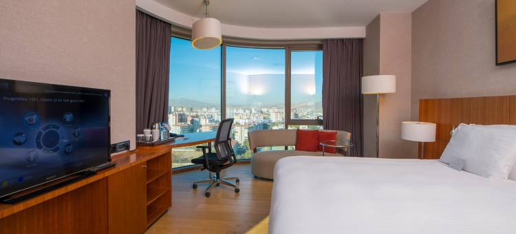 凯瑟里皇冠假日酒店(Crowne Plaza Kayseri)图片