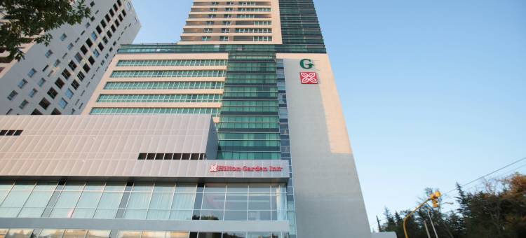 内乌肯希尔顿花园酒店(Hilton Garden Inn Neuquen)图片