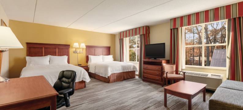 希尔顿欢朋套房酒店-威廉斯堡历史街区(Hampton Inn & Suites Williamsburg Historic District)图片