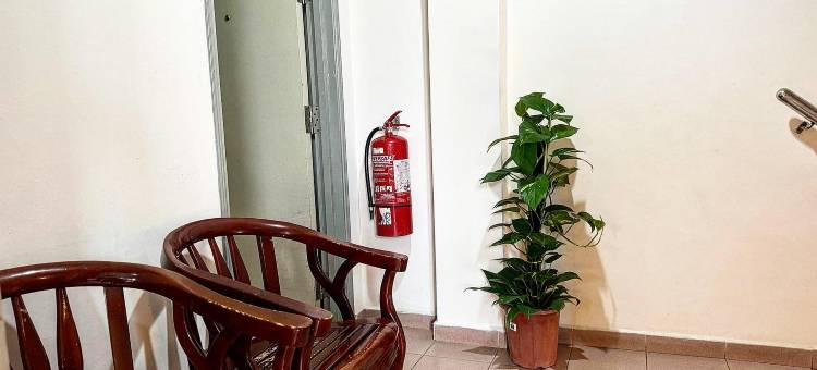 城市旅馆(Town Inn Hotel - Rainforest)图片