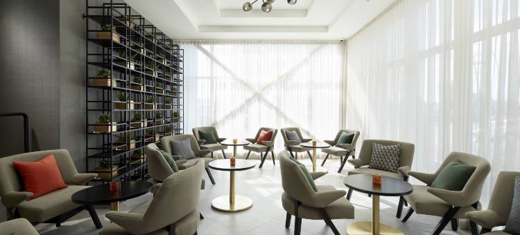 蒙特娄机场希尔顿逸林酒店(DoubleTree by Hilton Montreal Airport)图片