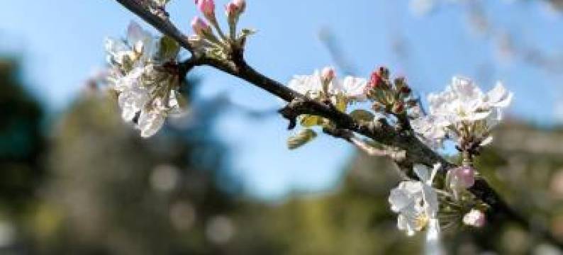 Les Logis de l'Estuaire图片