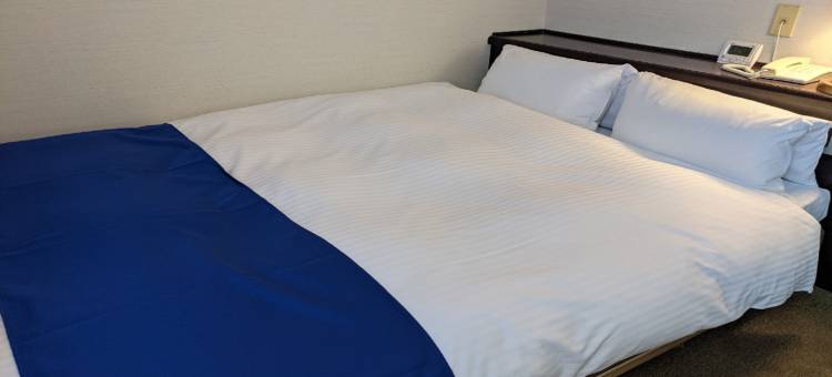 Ichinomiya City Hotel图片