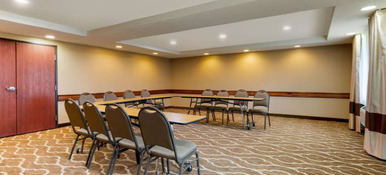 舒适套房酒店(Comfort Inn & Suites)图片