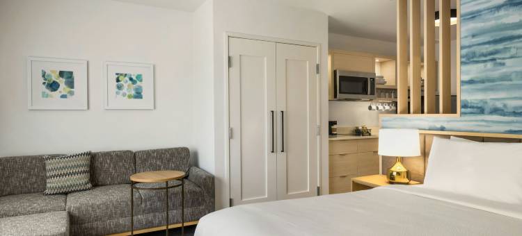 万豪德卢斯唐普雷斯套房酒店(Towneplace Suites Duluth)图片