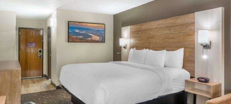 东里奇查塔努加舒适套房酒店(Comfort Inn & Suites Chattanooga-East Ridge)图片