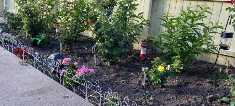 OYO 奥黑尔机场芝加哥德斯普兰斯汽车旅馆(Des Plaines Motel by OYO O'Hare Airport Chicago)图片