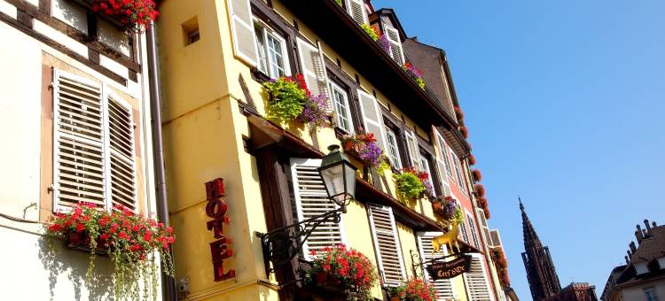 金厨酒店(Logis Hôtel Restaurant Au Cerf d'Or)图片