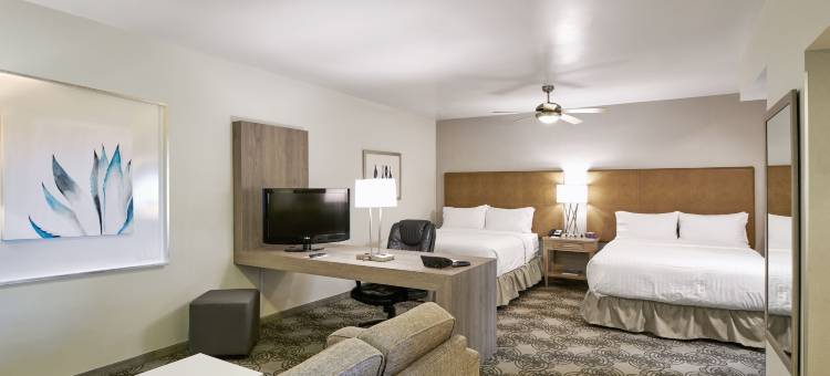 Holiday Inn & Suites 奇瓦瓦(Holiday Inn & Suites Chihuahua Expo)图片