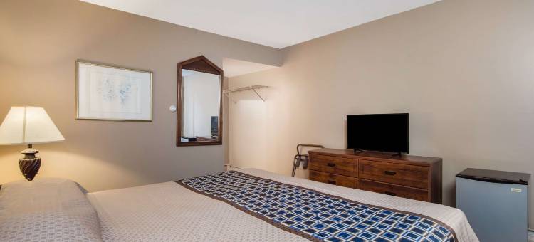 阿姆斯特丹骑士酒店(Knights Inn Amsterdam)图片