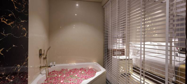 卡基纳达斯文斯卡设计酒店(Svenska Design Hotel Kakinada)图片