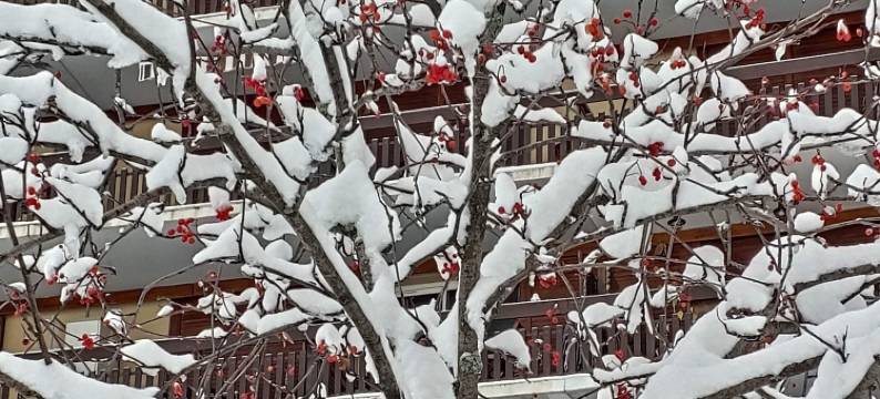 超级德沃洛545S公寓(Superdevoluy545S)图片