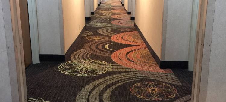 西艾西维尔凯艺酒店(Quality Inn West of Asheville)图片