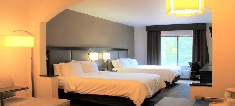 智选假日套房酒店罗金厄姆(Holiday Inn Express & Suites Rockingham)图片