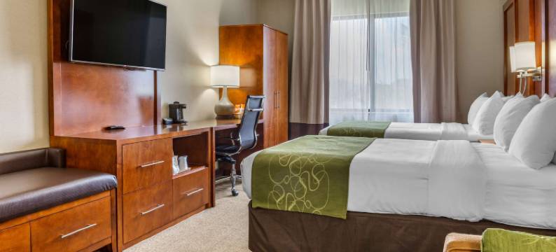 康福特套房多佛大学区(Comfort Suites Dover University Area)图片