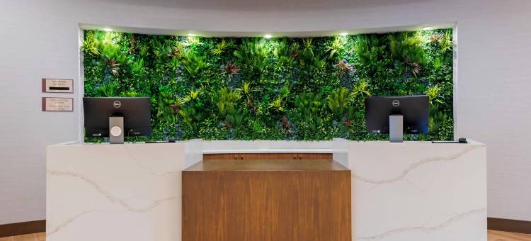 谢尔比镇-底特律坎布里亚酒店(Cambria Hotel Detroit-Shelby Township)图片