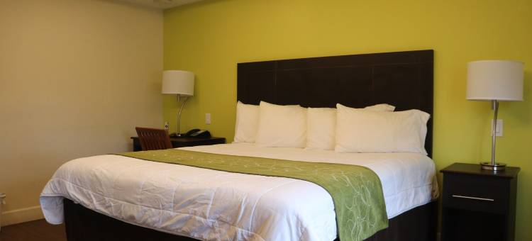 柯蒂斯酒店及套房(Curtis Inn & Suites)图片