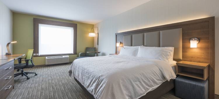 蒙克顿智选假日套房酒店(Holiday Inn Express & Suites MONCTON by IHG)图片
