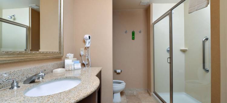 塔科马欢朋套房酒店(Hampton Inn & Suites by Hilton Tacoma)图片