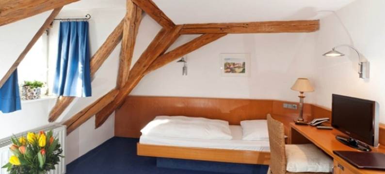 加尼森特斯塔德酒店(Am Zehntstadl Hotel & Sauna)图片