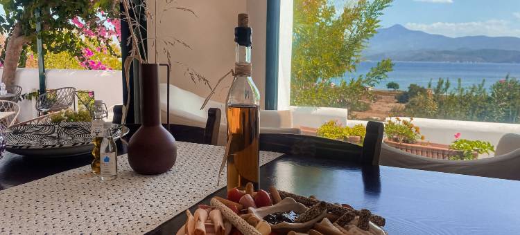 尼赛亚萨摩斯酒店(Nisea Hotel Samos)图片