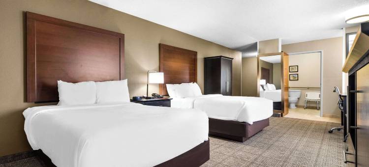 埃文斯维尔东舒适酒店(Comfort Inn Evansville East)图片