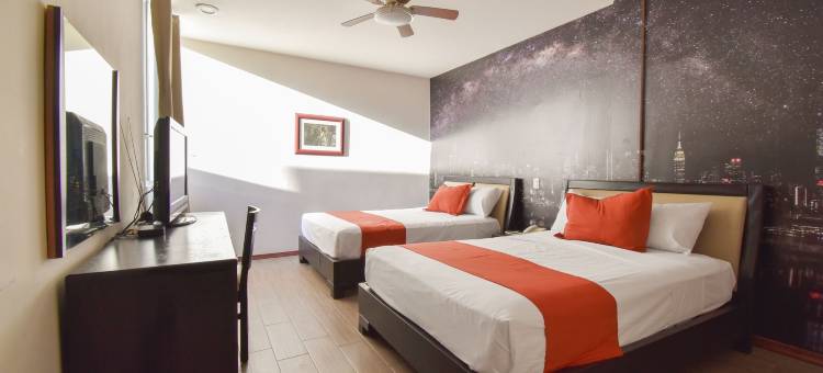 托特姆瓜达拉哈拉酒店(Hotel TÖTEM Guadalajara)图片
