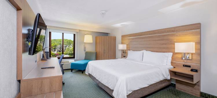 Holiday Inn Express 哥斯达黎加圣荷西机场(Holiday Inn Express San Jose Costa Rica Airport)图片