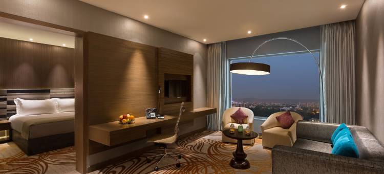 齐普尔市中心假日酒店(Holiday Inn JAIPUR CITY CENTRE by IHG)图片