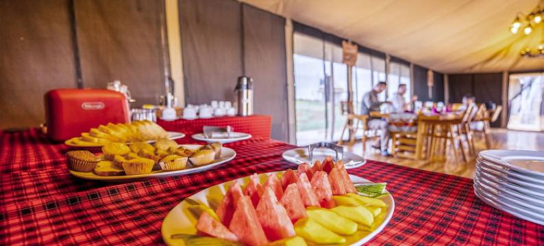 Malaika豪华营地 Seronera Serengeti(Malaika Luxury Camp Seronera Serengeti)图片