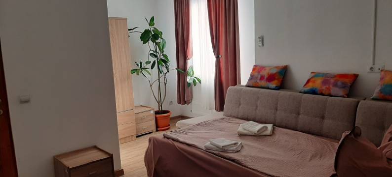 福图纳奥里别墅酒店(Vila Fortuna Auri)图片