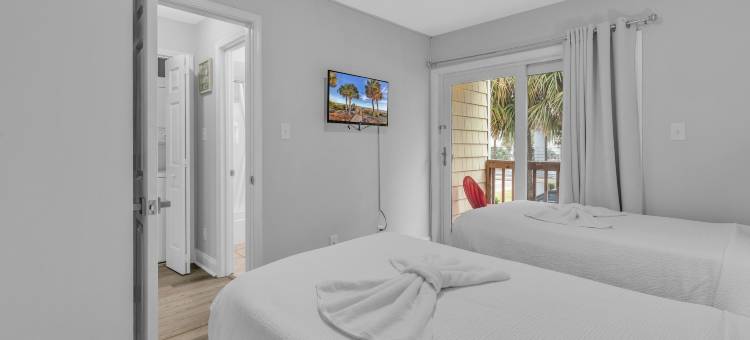 岛屿棕榈(Island palms)图片