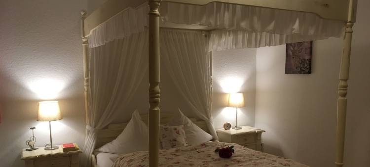 阿尔特安纳贝格伽尼酒店(Hotel Alt Annaberg)图片