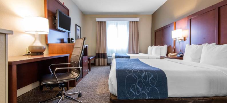 舒适套房酒店罗切斯特亨利埃塔大学区(Comfort Suites Rochester Henrietta University Area)图片