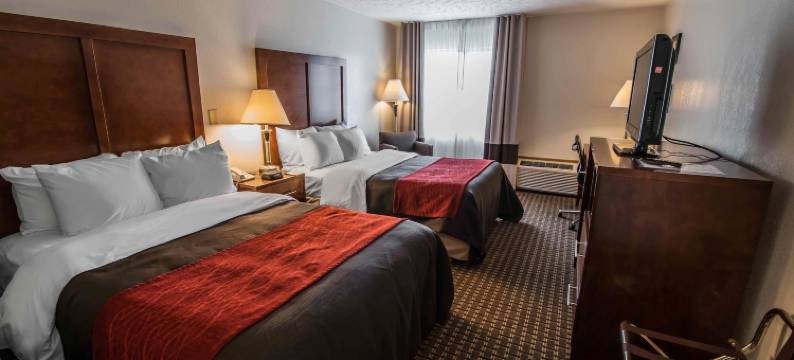 阿特金斯马里恩I-81舒适酒店(Comfort Inn Atkins-Marion I-81)图片