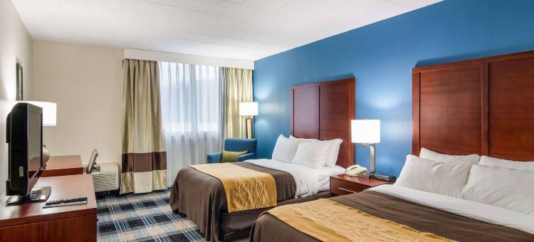 舒适酒店及套房(Comfort Inn & Suites)图片